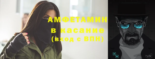 сатива Вязьма